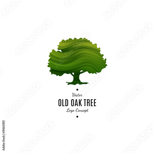 Quadro em tela Big Old Oak Tree Vector Logo