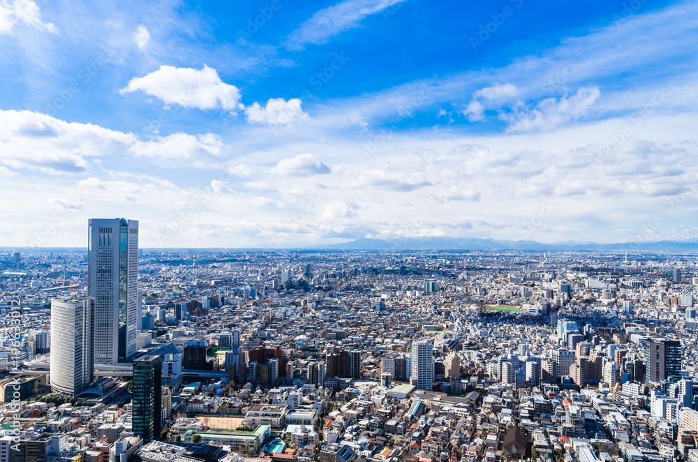 東京　住宅街が広がる都市風景