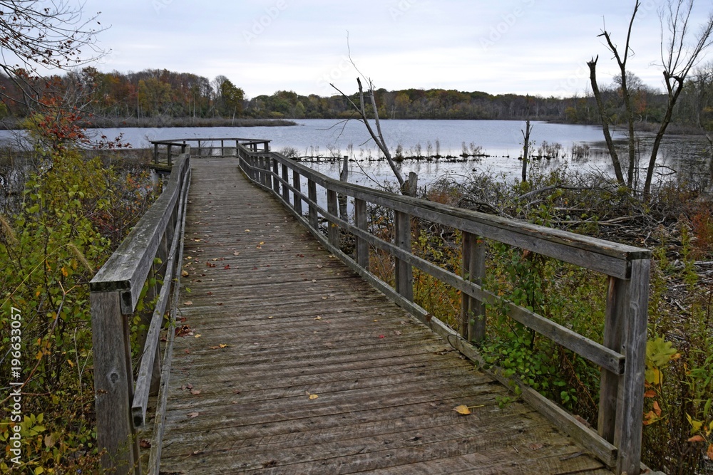 Nature scene in Autumn at the Westminster ponds conservation area in London, Ontario
