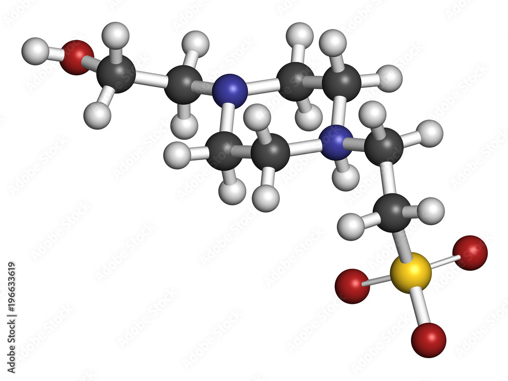 HEPES buffering agent molecule. 3D rendering. Atoms are represented as spheres with conventional color coding: hydrogen (white), carbon (grey), oxygen (red), nitrogen (blue), sulfur (yellow). HEPES buffering agent molecule. 3D rendering. Atoms are represented as spheres with conventional color coding: hydrogen (white), carbon (grey), oxygen (red), nitrogen (blue), sulfur (yellow).