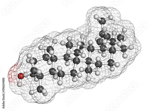 Lupeol molecule. 3D rendering. Atoms are represented as spheres with conventional color coding: hydrogen (white), carbon (grey), oxygen (red).