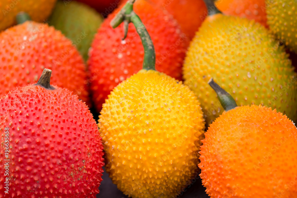 Gac fruit, Baby Jackfruit, Spiny Bitter Gourd, Sweet Grourd or Cochinchin Gac fruit, Baby Jackfruit, Spiny Bitter Gourd, Sweet Grourd or Cochinchin