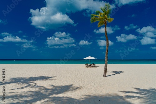 relax on the beach of the Caribbean island of Aruba