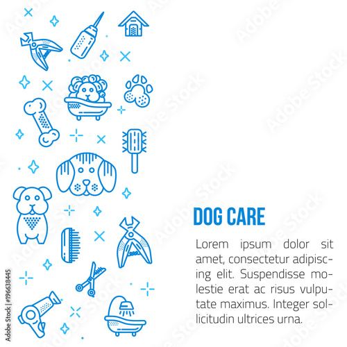 Dog grooming Line art banner with sign of dog, bone, clipper, comb. Stylish animal equipment for your promo design