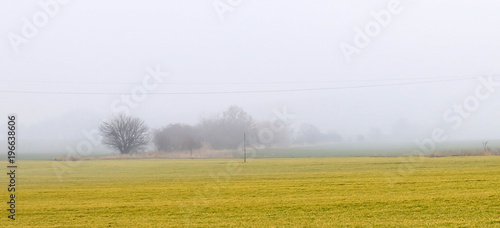 sky field