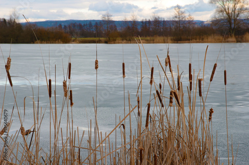 frost winter lake