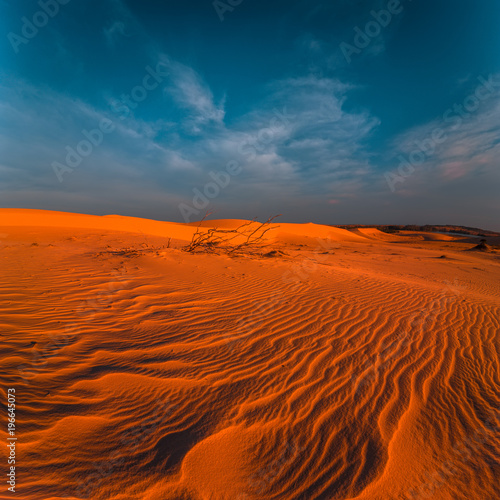 Stunning view of lonely sand dunes