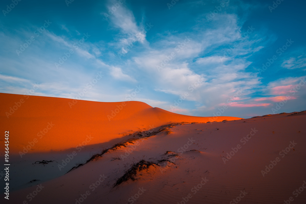 Naklejka premium view of lonely sand dunes