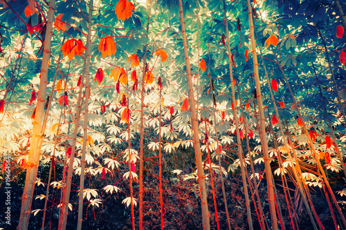 Fototapeta Surrealistyczne kolory roślin tropikalnych fantasy