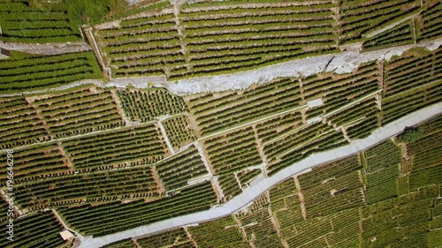 Lavaux UNESCO Terrace vineyads aerial shot. Cinematic view of this beautiful vineyards - Lausanne Switzerland