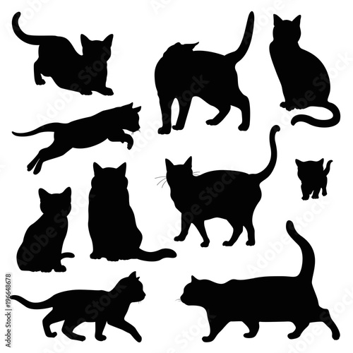 Fototapeta Naklejka Na Ścianę i Meble -  cat silhouette illustration set