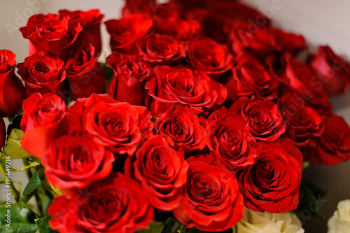 Close up photo of bright red roses