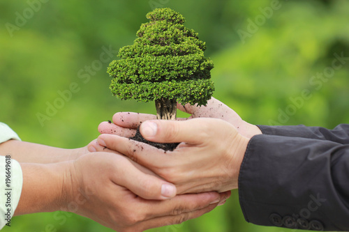 Close up Man holding green plant in hand, We love the world of ideas