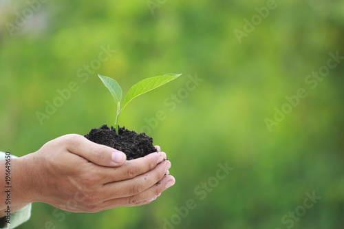 Close up Man holding green plant in hand, We love the world of ideas
