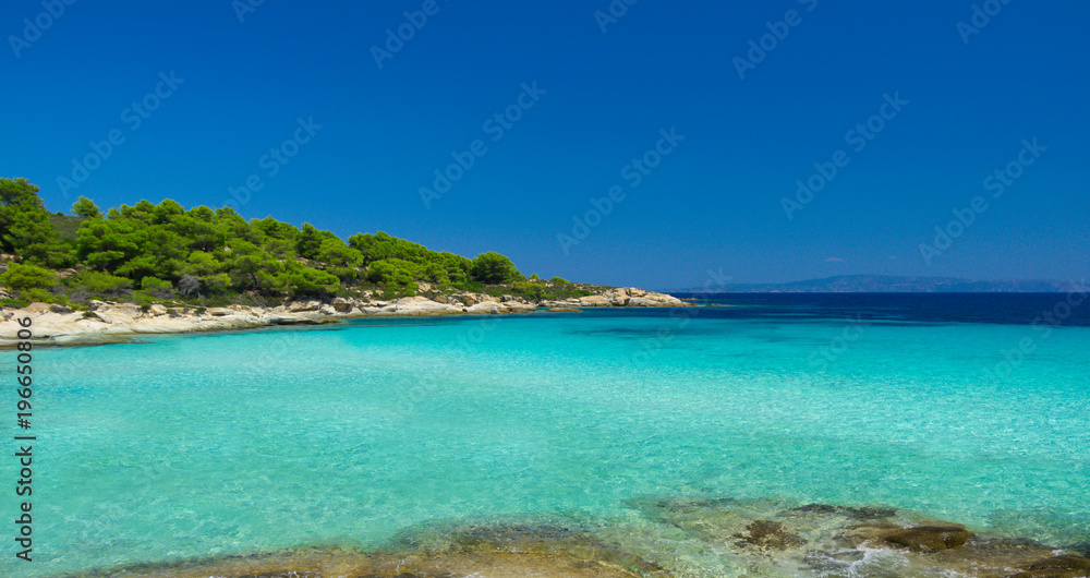 Sea coast at summer