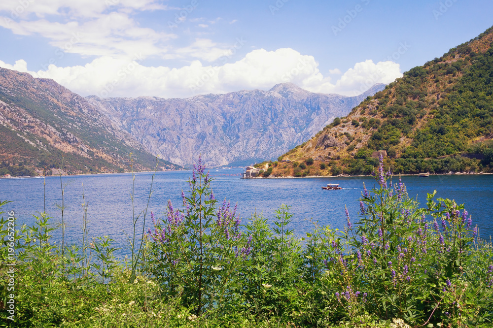 Sunny summer landscape. Montenegro, coast of Bay of Kotor