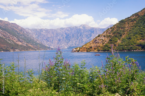 Sunny summer landscape. Montenegro, coast of Bay of Kotor