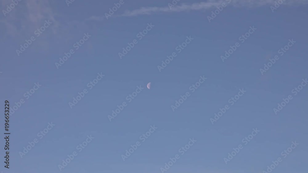 Beautiful winter landscape with snow covered trees and moon on blue sky
Beautiful winter landscape with snow covered trees and moon on blue sky