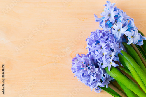 Flat lay, flowers, spring, hyacinths, home flowers, plant