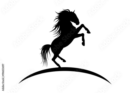 Vector silhouette of wild horse. Vector logo