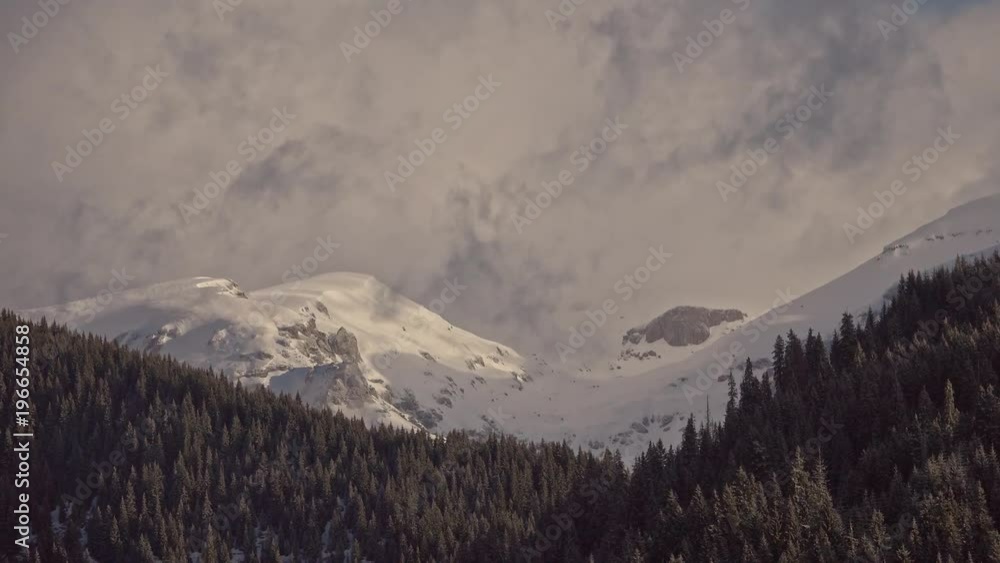 Beautiful winter landscape with snow covered trees and cloudy sky
Beautiful winter landscape with snow covered trees and cloudy sky