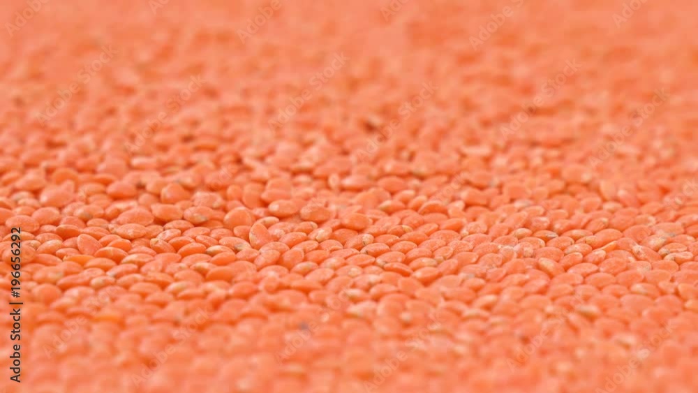 Boundless Red Chief lentils turnig around background. Close-up of vegetarian food. Boundless Red Chief lentils turnig around background. Close-up of vegetarian food.