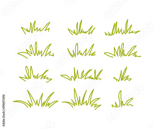 Set of green grass tufts, clip art, transparent background