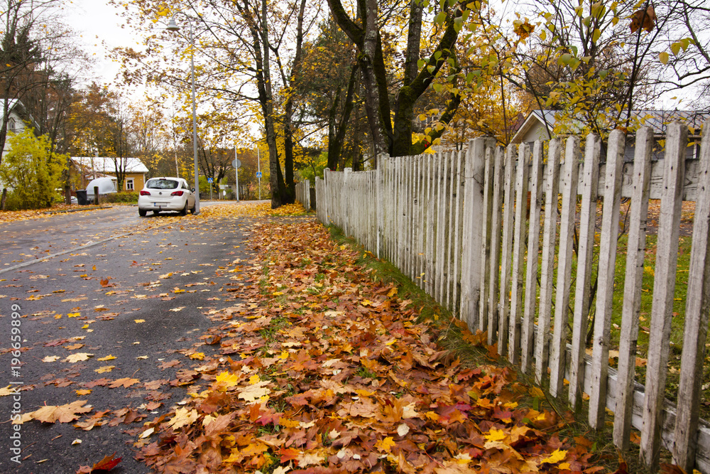 Autumn rural landscape in Finland with old wooden fence. Autumn rural landscape in Finland with old wooden fence.