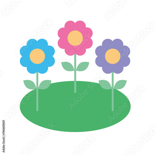 natural flowers petal leaves ornament vector illustration