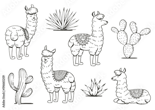 Set of cute lamas and cacti. Vector illustration.