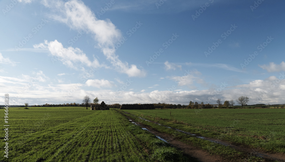 green field with trees and blue sky at autumn time