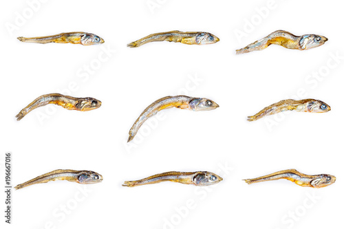 Set of different dried japanese anchovies on white background. Close up.