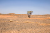 Algeria - June 05, 2017: Dry landscape of the countryside of Algeria