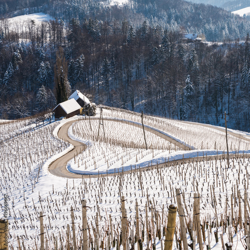 Famous Heart shaped wine road in Slovenia in winter, Heart form - Herzerl Strasse, vineyards in winter, Spicnik,Styria,Slovenia. photo