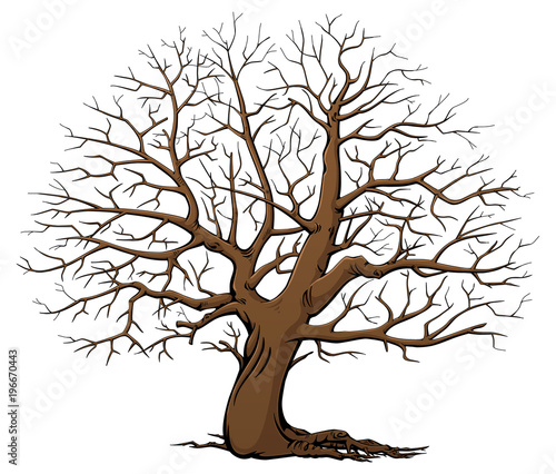 Tree without leaves. Dry wood. Cartoon style.