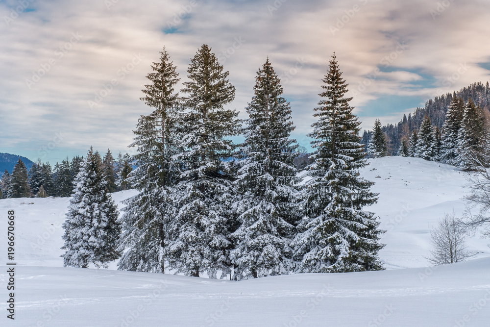 Winterlandschaft bei Reit im Winkl Winterlandschaft bei Reit im Winkl