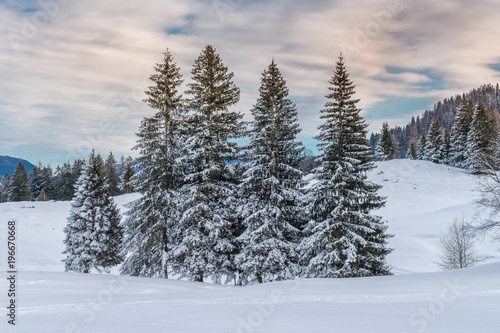 Winterlandschaft bei Reit im Winkl © Eberhard