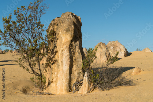 Nambung National Park, Western Australia