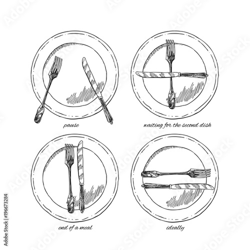 Hand drawn vector illustration table setting