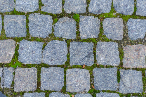 green moss between granite stone paving stones
