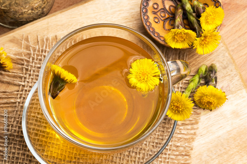 Coltsfoot (Tussilago farfara) tea with coltsfoot flowers