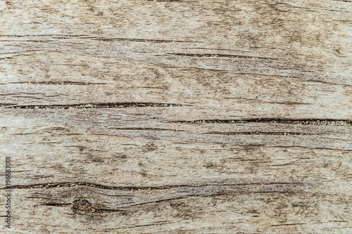 Texture of the old wooden cracked board surface