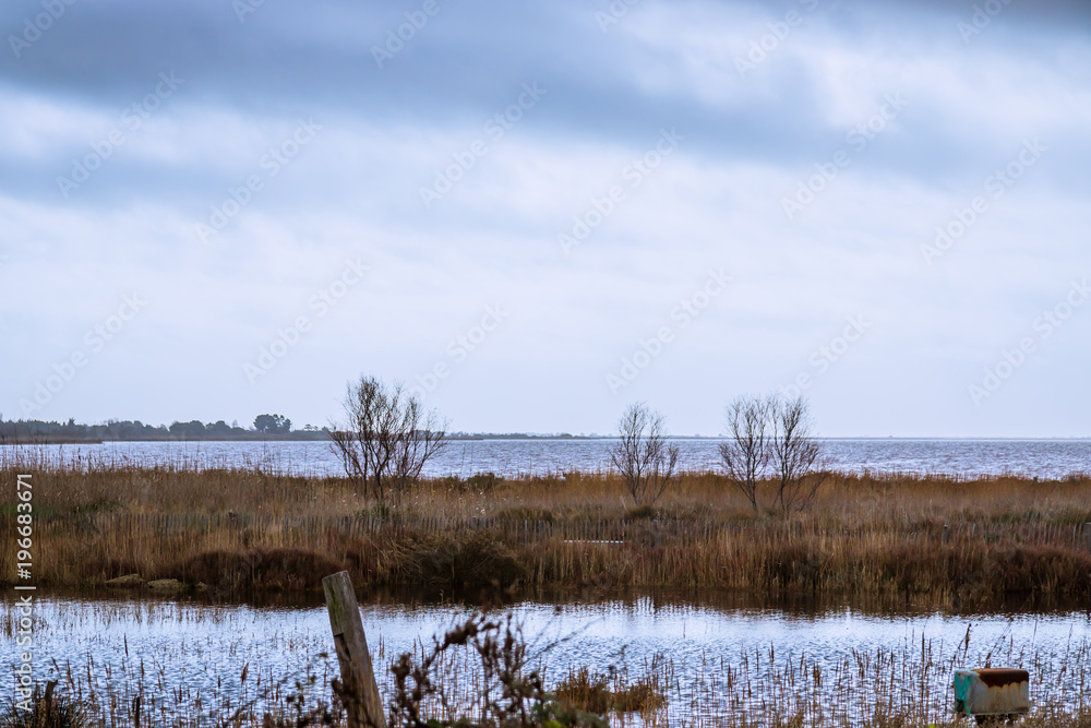 Les étangs près de Aigues Mortes en Camargue