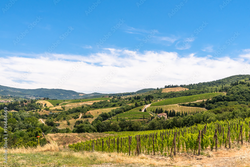 The Landscape in Tuscany is just beautiful with all those Vineyards where good Vines were born and the small Villages.