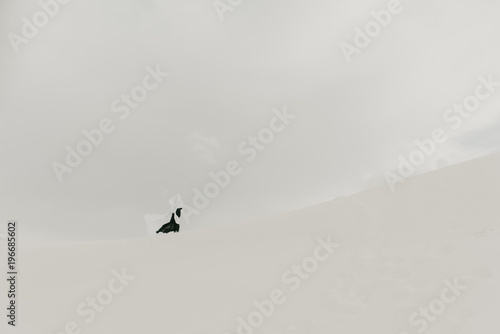 Black versus white concept of two opposing people draped in contrasting fabrics in the desert