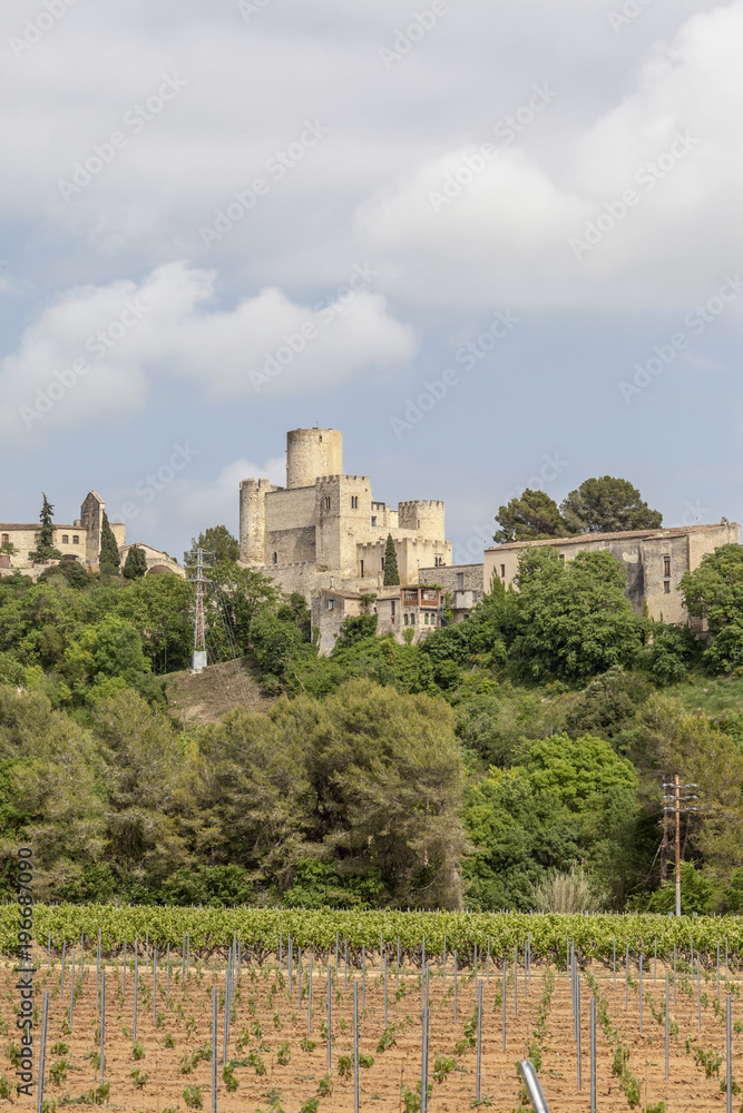 Village view, Castle and vineyard landscape, Castellet, Castellet i la Gornal,Penedes region,Catalonia.