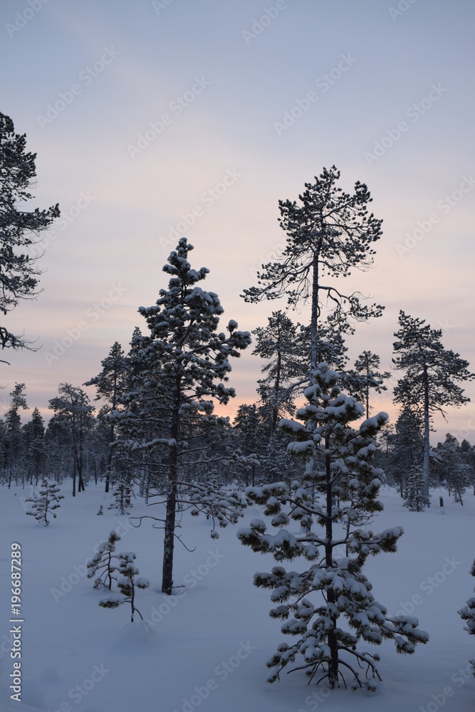 Lapland_6