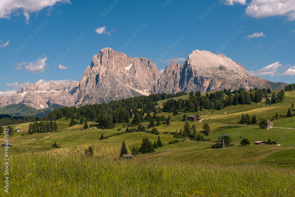 Alpe di Suisi in the Dolomites of Italy