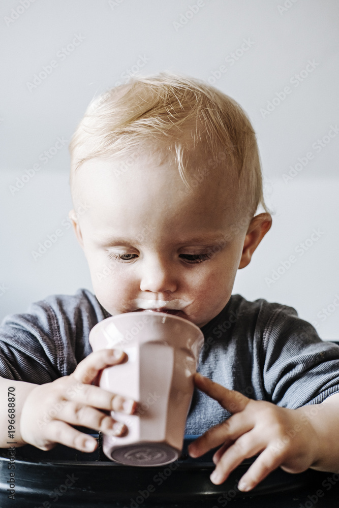 Molly milkshake Molly milkshake