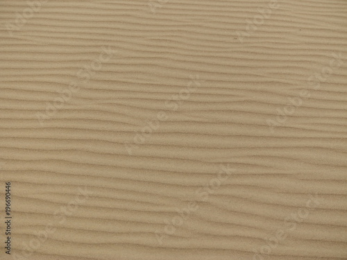 waves in dune sands